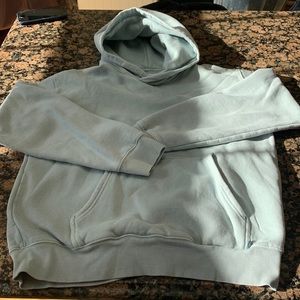 Aritzia Light Blue Hoodie